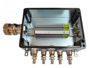 СКП-06.162609-Exe-(24/2,5)-(4/2,5)-5(B)/20S16A2FFC1RAC030-2(D)/757DM25-1(C)/32E1FX1RA5-ПЗ